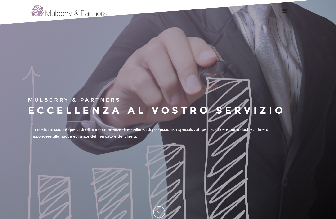 Mulberry&Partner Sito Web